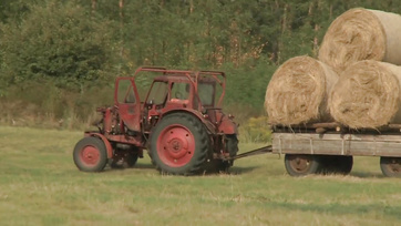 Ścisły tyłek dziewczyny z Transylwanii został ostro wydymany na farmie Thumb